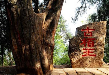 宝鼎生态旅游区第 2 张图片