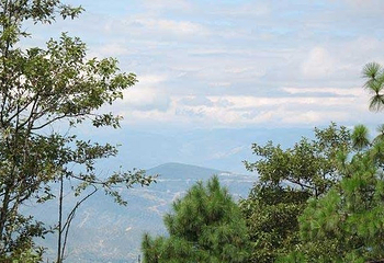 宝鼎生态旅游区第 5 张图片