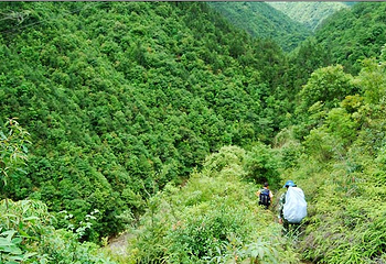 寿山国家矿山公园第 4 张图片