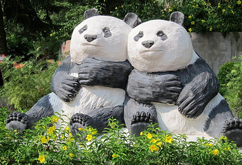 北京动物园大熊猫馆第 9 张图片