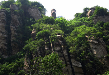 天门山森林公园第 4 张图片