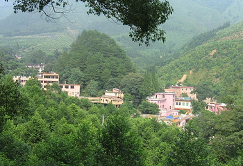 龙山温泉龙泉山庄第 6 张图片