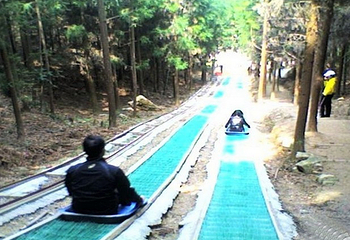 三角山滑道第 2 张图片