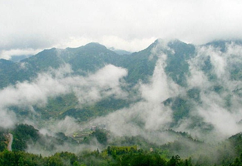 三角山滑道第 5 张图片