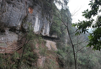 青城后山第 45 张图片