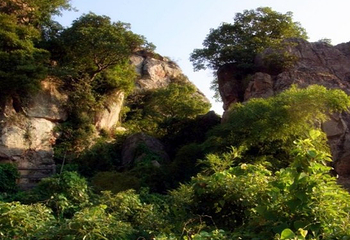 台州马头山景区第 5 张图片
