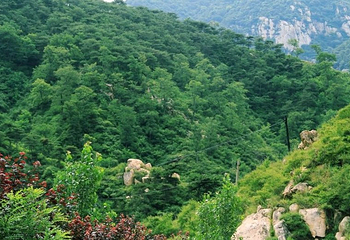 济南凤凰岭第 5 张图片
