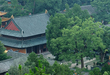 台州弥陀寺第 5 张图片