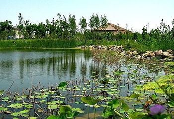 长广溪湿地公园第 5 张图片