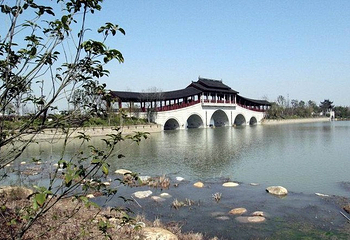 长广溪湿地公园第 4 张图片