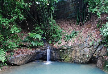 永川桃花源第 5 张图片