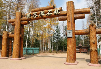 聚龙火山石林景区第 4 张图片