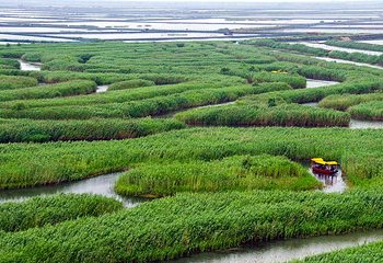 水上芦荡迷宫第 1 张图片