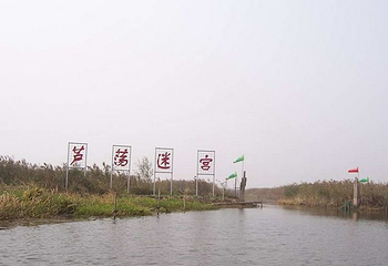 水上芦荡迷宫第 3 张图片