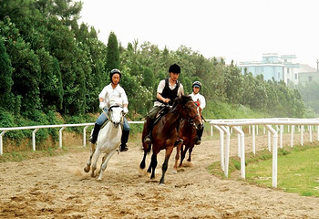 长白山跑马场第 5 张图片