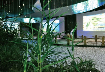 七桥翁湿地文化中心第 2 张图片