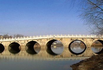 七桥翁湿地文化中心第 5 张图片