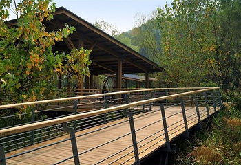 西湖风景区-江洋畈生态公园第 9 张图片