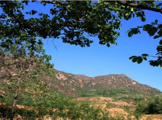 黄金寨原生态旅游区   起