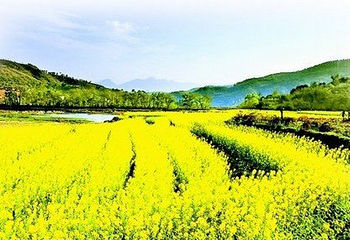 白沙湾生态农庄第 5 张图片