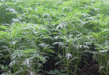 天津和润福德庄园第 5 张图片