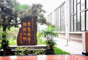 杨中有石画艺术馆第 5 张图片