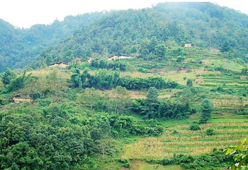 炒米山风景区第 4 张图片