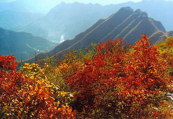 青天河第 3 张图片