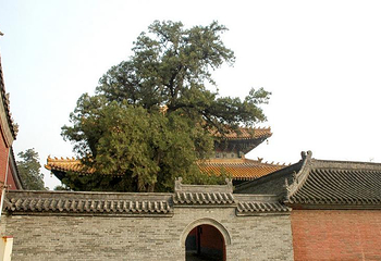 中岳庙第 17 张图片