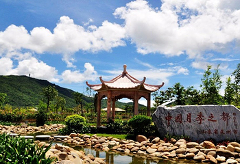 三亚亚龙湾国际玫瑰谷第 16 张图片
