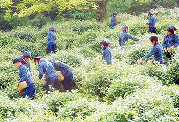 阳城驿景区第 7 张图片