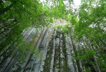望天鹅旅游风景区第 15 张图片