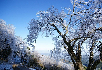 屏山旅游区第 7 张图片