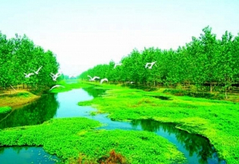 泗阳县生态公园第 2 张图片