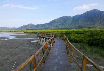 红树林保护区第 2 张图片