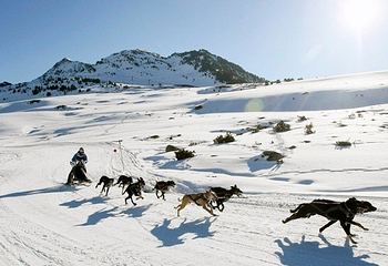 朱雀山滑雪场第 3 张图片