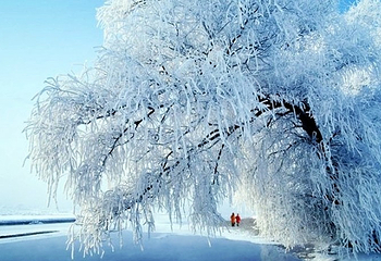 中旅松花湖滑雪场第 3 张图片