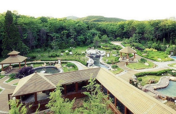 棒棰岛温泉门票 餐或搓澡(二选一)