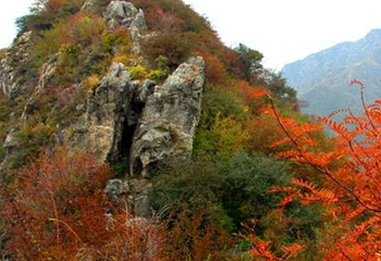 老爷山第 6 张图片