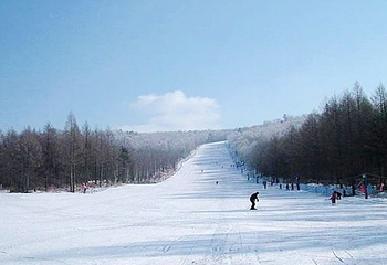 炮台山滑雪场第 2 张图片