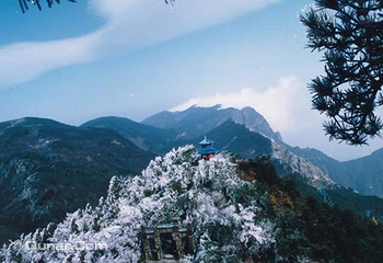 梅岭竹海明珠第 7 张图片