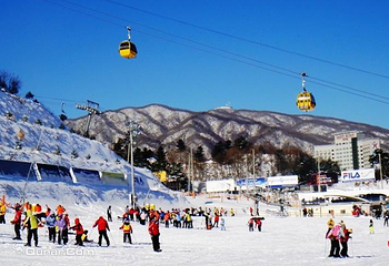 凤凰公园滑雪场第 1 张图片