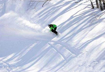 长白山西坡滑雪场第 3 张图片