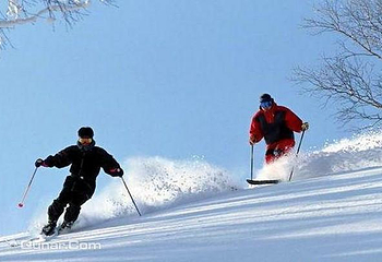塞罕坝滑雪场第 2 张图片