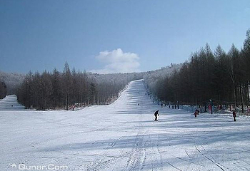 桃山滑雪场第 1 张图片