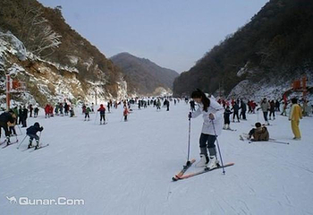甘山森林滑雪场第 5 张图片