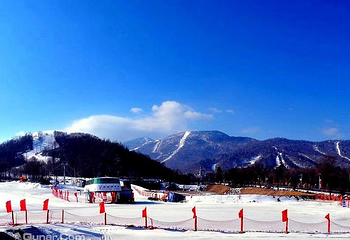 雅旺斯滑雪场第 8 张图片