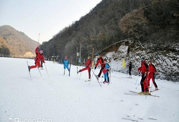 甘山森林滑雪场第 2 张图片