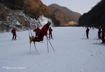 甘山森林滑雪场第 4 张图片