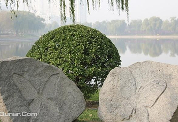 红领巾公园第 3 张图片